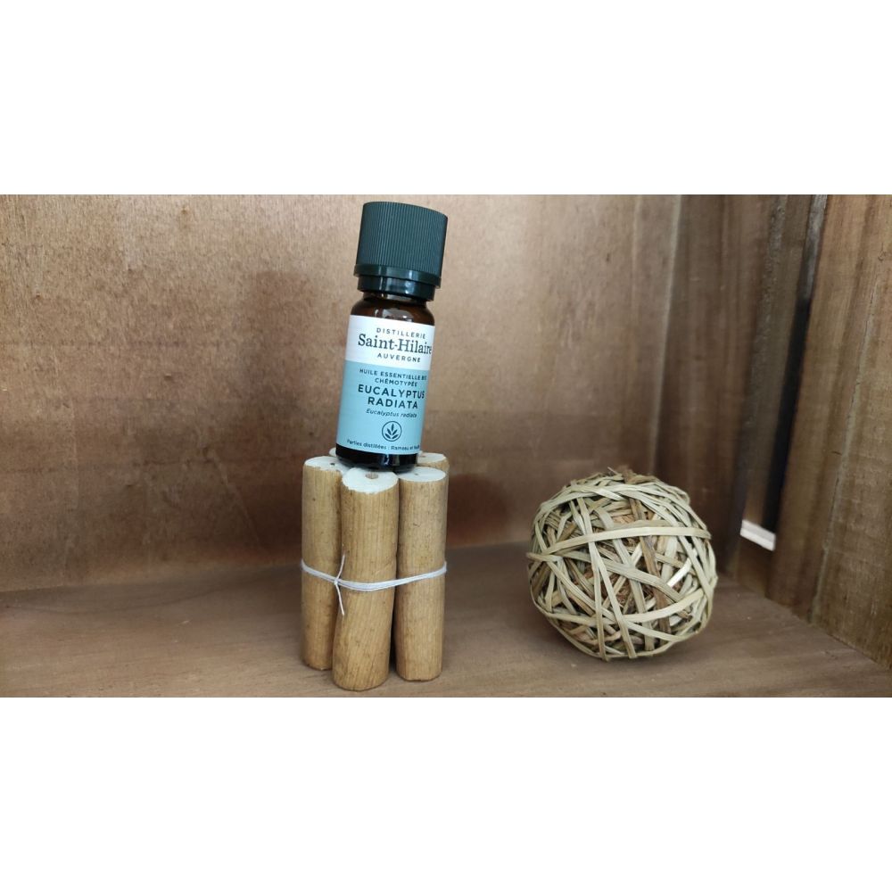 HE eucalyptus radié 10 ml