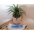 Pipettes 10 ml
