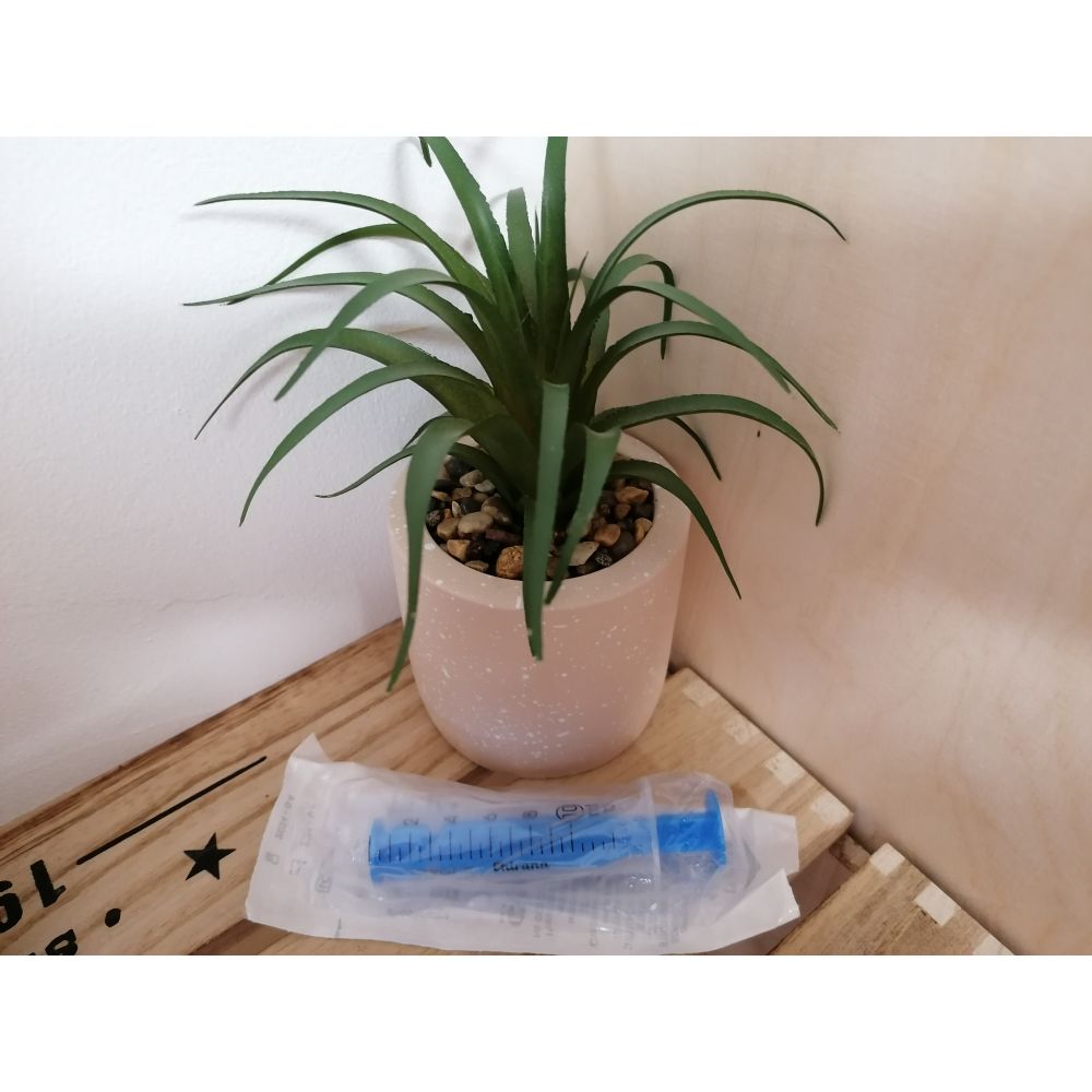 Pipettes 10 ml