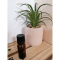 Codigouttes 10 ml